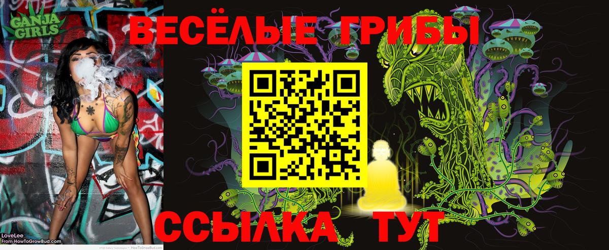 Галлюциногенные грибы Psilocybine cubensis  Галлюциногенные грибы Cubensis  Вход с VPN  Усть-Джегута 